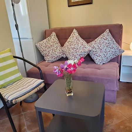 Ecohouse Risan Studio Bagian luar foto