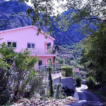 Ecohouse Risan Studio Bagian luar foto