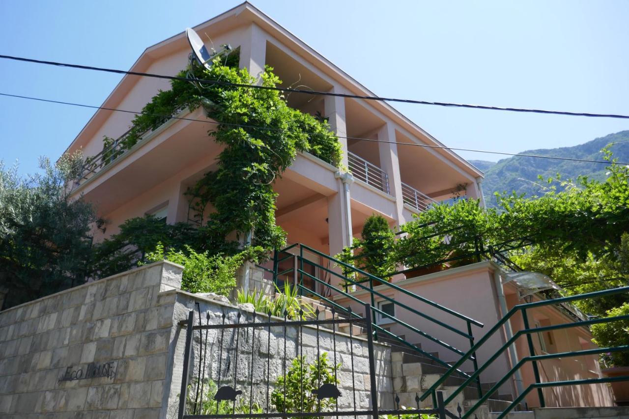 Ecohouse Risan Studio Bagian luar foto