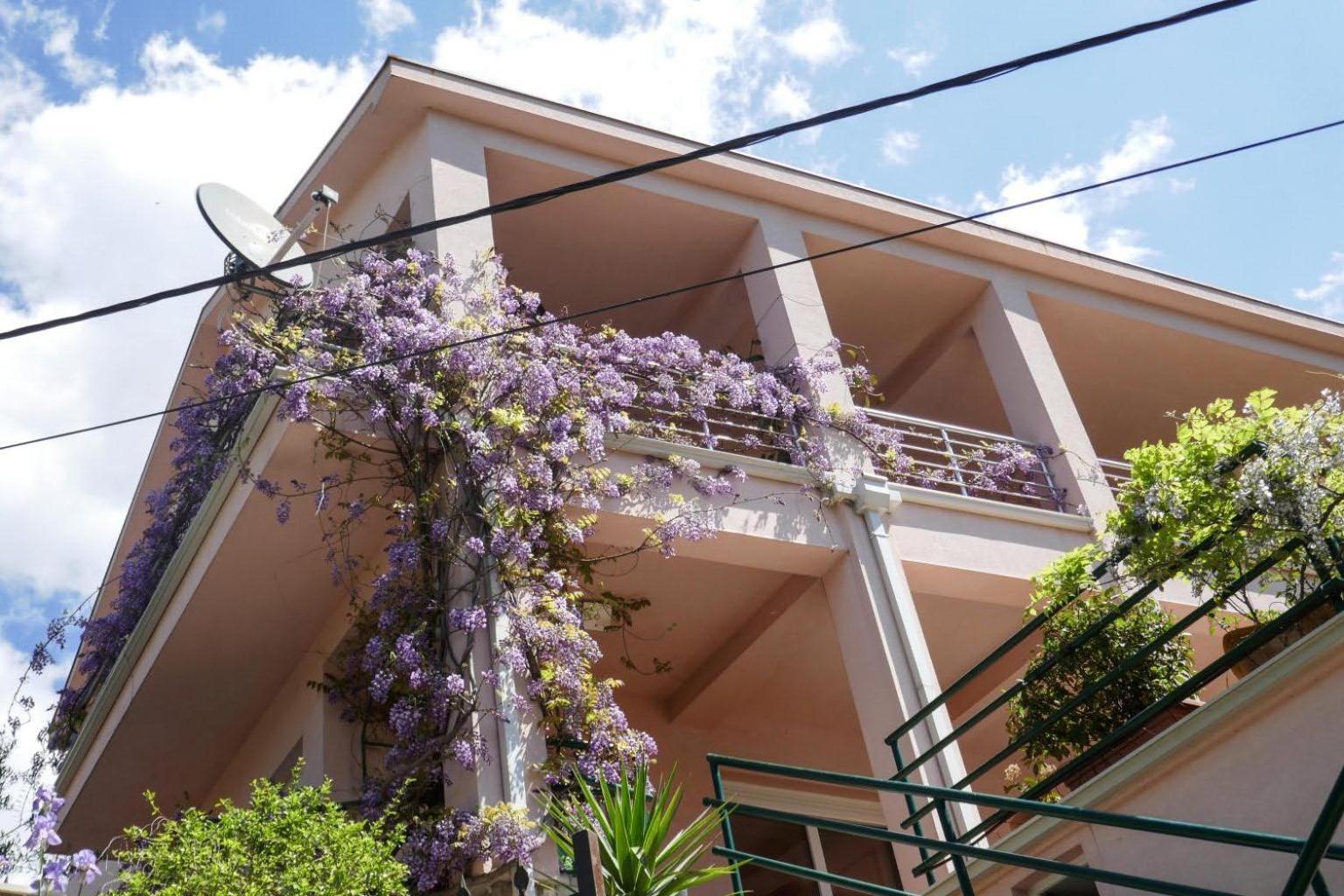 Ecohouse Risan Studio Bagian luar foto
