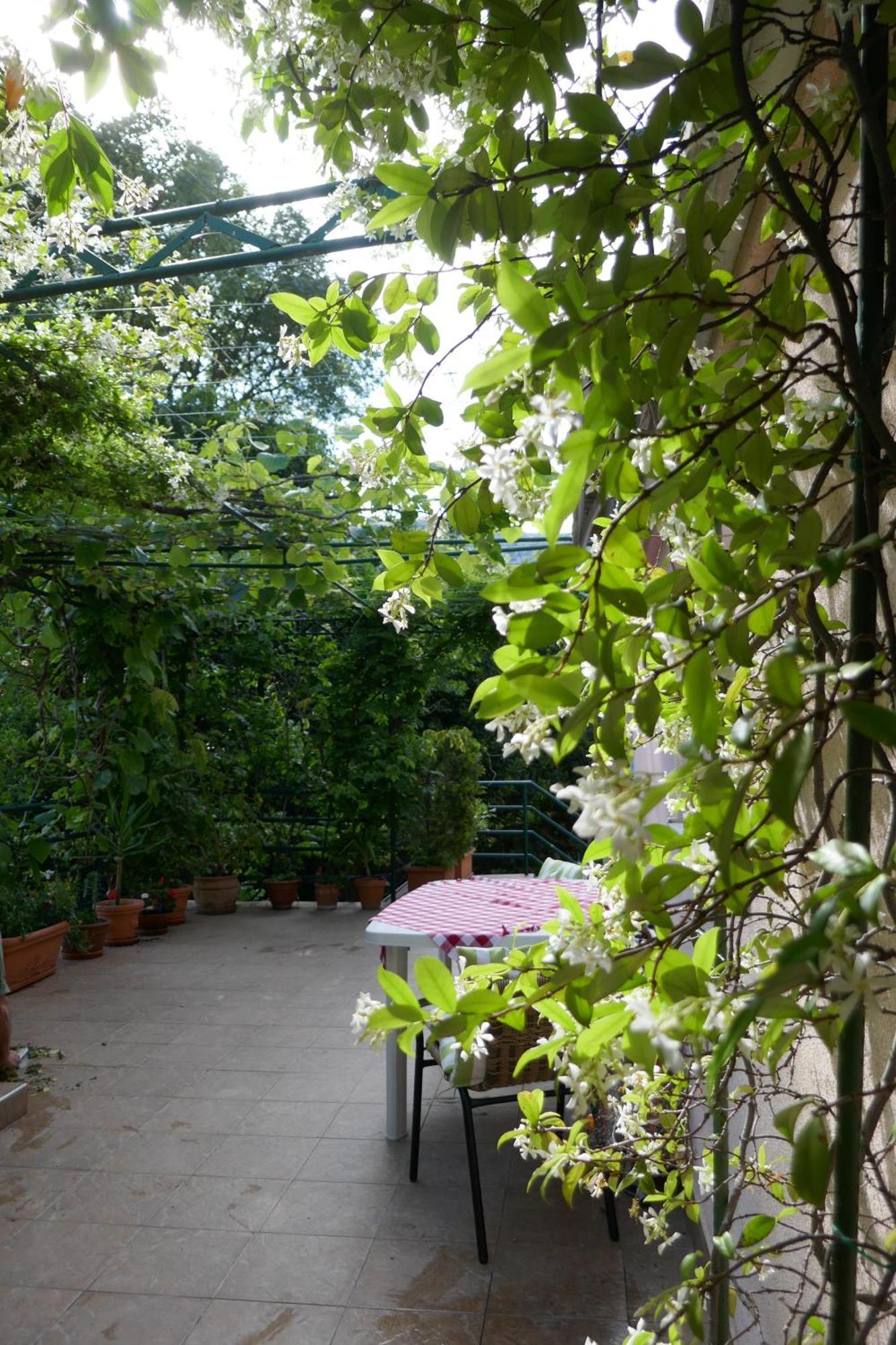 Ecohouse Risan Studio Bagian luar foto