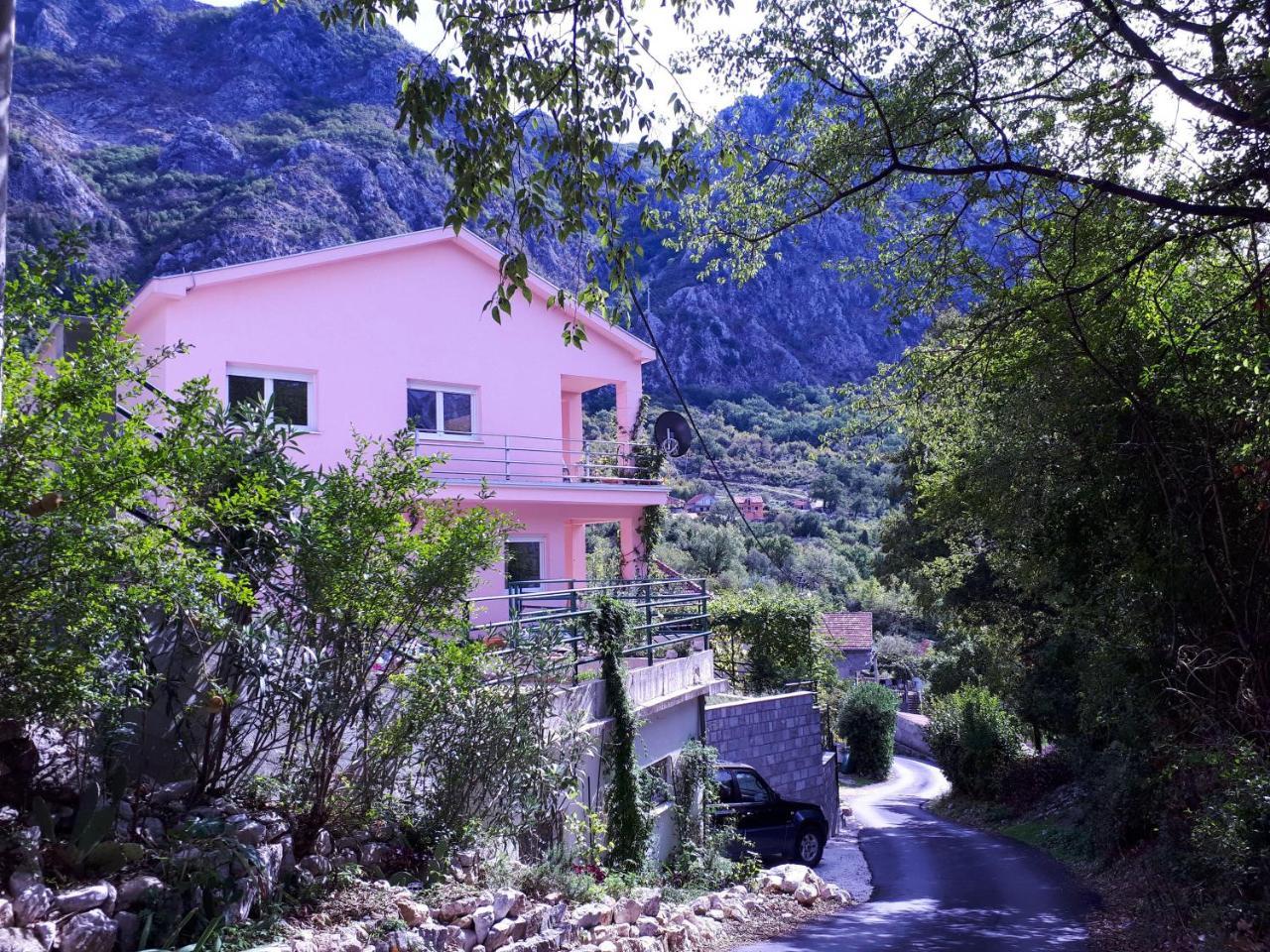 Ecohouse Risan Studio Bagian luar foto